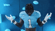 North Carolina Idk GIF by UNC Tar Heels