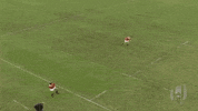 Usa Rugby Sport GIF by Rugby World Cup
