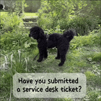 Ticket Troubleshooting GIF