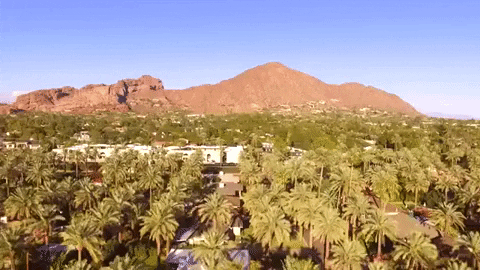 phoenix arizona GIF