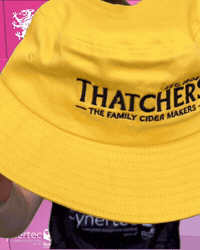 T20 Vitality Blast GIF by Somerset County Cricket Club