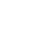 beeuniqueofficial news bee abelha chegou Sticker