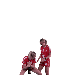 Wilhelmshaven Whv Sticker by whvhandball