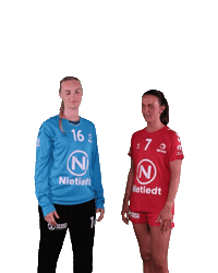 Wilhelmshaven Whv Sticker by whvhandball