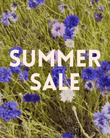 Summersale GIF by Dr. Cuddles