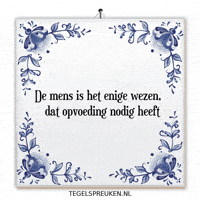 Humor Wijsheid GIF by Tegelspreuken.nl