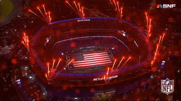 Regular Season Football GIF by NFL