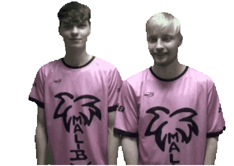 Futsal Zajicek Sticker by fcmalibumb