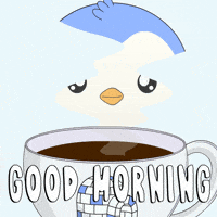 Happy Good Morning GIF by Pudgy Penguins