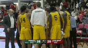 college basketball GIF by America East