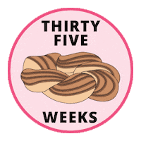 Pregnancy Baby Size Sticker by Bump Boxes