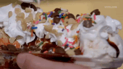 viceland GIF by THE ICE CREAM SHOW