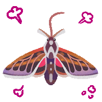 No Way What Sticker by pikaole