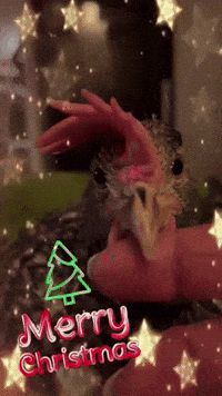 Merry Christmas Fest GIF