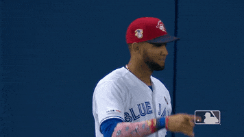regular season sport GIF by MLB