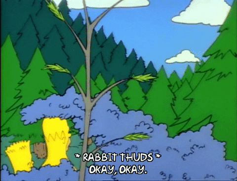 Season 1 GIF by The Simpsons