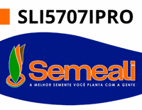 GIF by semealisementes