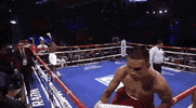 toprank fight boxing fighting espn GIF