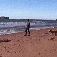 François Arnaud GIF
