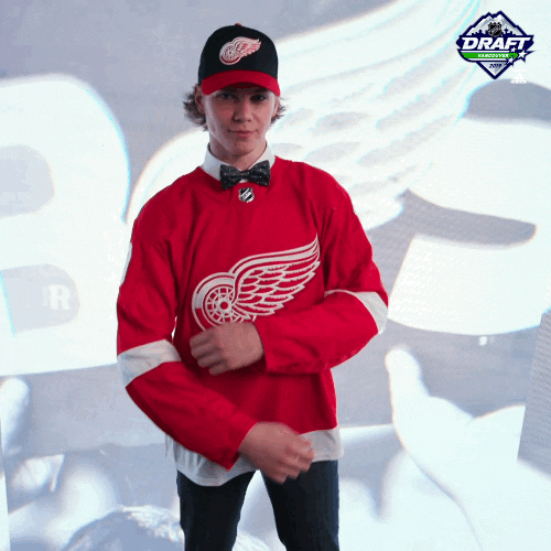 nhl sports sport hockey nhl GIF