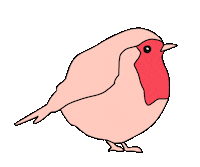 Bird Robin Sticker by Waltermedia