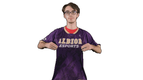 Ppp D3 Sticker by Albion College