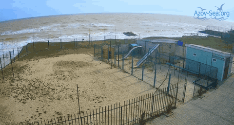 1 aprelya stepanovka GIF