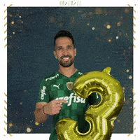 Soccer Futebol GIF by SE Palmeiras