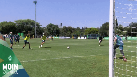 GIF by SV Werder Bremen