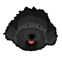 Black Dog Puppy Sticker by Neat Pets Mementos
