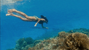 Ocean Swimming GIF by Survivor CBS