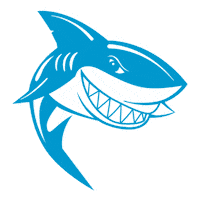 Shark Learn To Swim Sticker by Buzz Franchise Brands