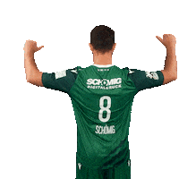 RimparerWoelfe handball scream wolf jubel Sticker