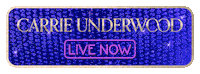 Live Music Concert Sticker by Carrie Underwood