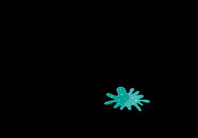 purifiedbottle clean bottle bacteria germs GIF