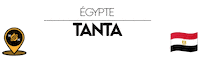 Nn Tanta Sticker by NoirNomads