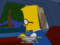 bart simpson episode 3 GIF