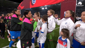 Handshake GIF by Football Australia