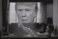 Donald Trump GIF by Squirrel Monkey