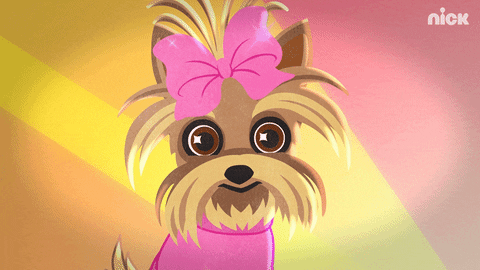Jojo Siwa Dog GIF by Nickelodeon