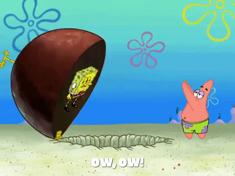 season 8 squidward's school for grown ups GIF by SpongeBob SquarePants