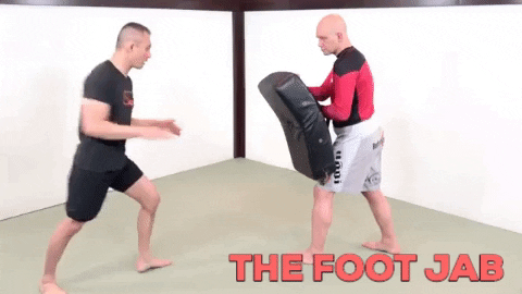 ritchieyip giphygifmaker kickboxing basics front kick GIF
