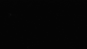 Apollo GIF by ApolloTheater