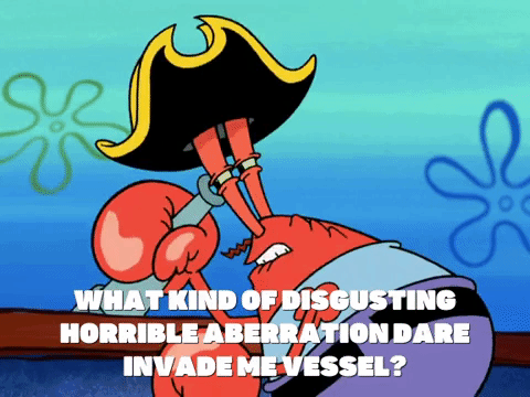 season 6 grandpappy the pirate GIF by SpongeBob SquarePants