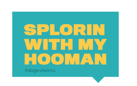 Dog Explore Sticker by visitnc