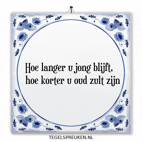 Humor Nl GIF by Tegelspreuken.nl