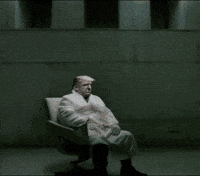 Mad Donald Trump GIF by alperdurmaz