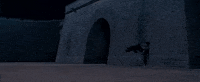 GIF by Crouching Tiger, Hidden Dragon 