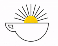 WayuTales tea peru tee teacup GIF