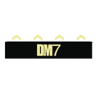 party festival Sticker by DM7 Bookings